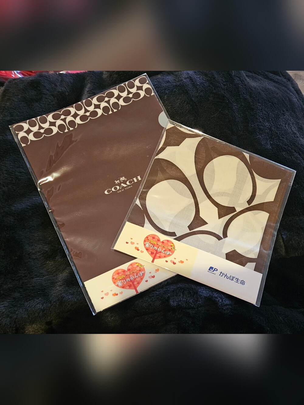 COACH New York Brown & Cream Signature Handkerchief And File Folders